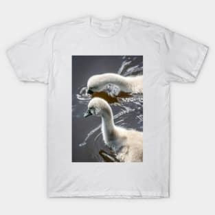 Mute Swan Cygnets T-Shirt